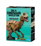 Wykopaliska 4M - Welociraptor