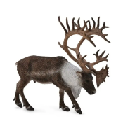 Figurka CollectA - Renifer Tundrowy