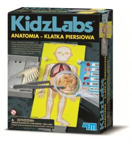 4M KidzLabs - Anatomia: Klatka Piersiowa
