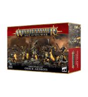 Warhammer Age of Sigmar - Orruk Warclans, Orruk Ardboys
