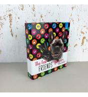 Segregator Bee-Bee A5 - Best Friend Collection