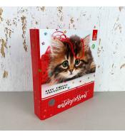 Segregator Bee-Bee A5 - Best Friend Collection