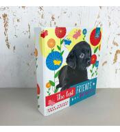 Segregator Bee-Bee A5 - Best Friend Collection