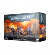 Warhammer 40,000 - Space Marines, Bladeguard Veterans