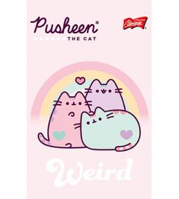 Notatnik A6 Pusheen kratka 50 kartek