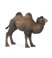 Figurka Papo - Wielbłąd Dwugarbny