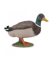 Figurka Papo - Kaczka Krzyżówka