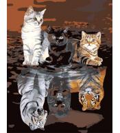Malowanie po numerach 40x50cm - Kocie odbicia