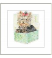 Karnet Rysowany Pies W Pudełku 16x16 + Koperta DaVinci