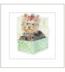 Karnet Rysowany Pies W Pudełku 16x16 + Koperta DaVinci