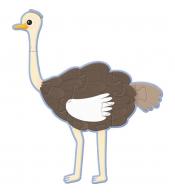 Puzzle 3w1 XL Avenue Mandarine - Ptaszki