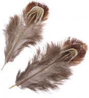 Naturalne piórka bażanta do prac plastycznych