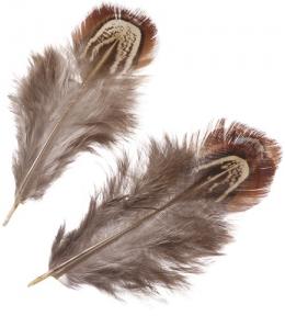 Naturalne piórka bażanta do prac plastycznych