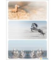 Naklejki szkolne Herma - Konie