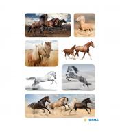Naklejki Herma Decor - Konie