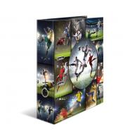 Segregator HERMA A4 7cm 2 ringi - Football