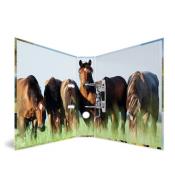 Segregator HERMA A4 7cm 2 ringi - Konie na łące