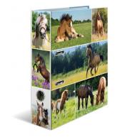 Segregator HERMA A4 7cm 2 ringi - Konie na łące