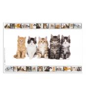 Podkładka na biurko HERMA - Koty