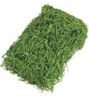 Knorr Prandell Trawa dekoracyjna, zielona