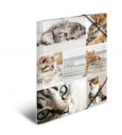 Teczka A4 z gumkami, Koty
