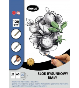 Blok rysunkowy A3 Biały Rexus