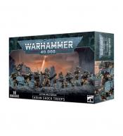 Warhammer 40,000 - Astra Militarum, Cadian Shock Troops