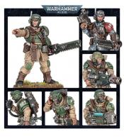 Warhammer 40,000 - Astra Militarum, Cadian Shock Troops