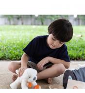 Plan Toys zestaw do pielęgnacji zwierząt