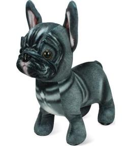 Pluszak maskotka Buldog
