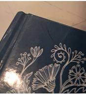 Baśnie Andersena, Hans Christian Andersen ---uszkodzona okładka---