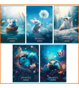 Zeszyt Herlitz Wonderland A5 linia kolorowa 16k