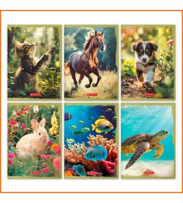 Zeszyt szkolny Herlitz Animals A5 32k linia