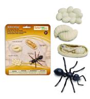 Zestaw Figurek Cykl Życia Mrówki Safariology Safari ltd.