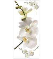 Naklejki dekoracyjne RoomMates XL - Orchidee